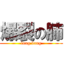 爆裂の肺 (lung bang)