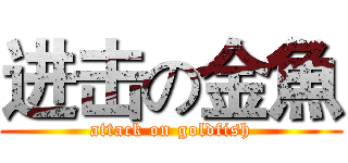 进击の金魚 (attack on goldfish)