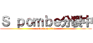 Ｓ ｐｏｍｂｅ分裂中 (attack on titan)