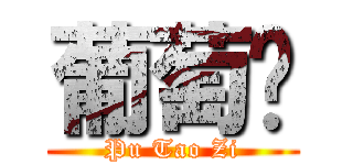 葡萄籽 (Pu Tao Zi)