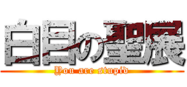 白目の聖展 (You are stupid)