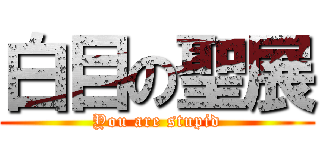 白目の聖展 (You are stupid)