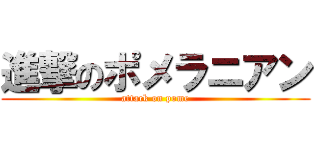 進撃のポメラニアン (attack on pome)