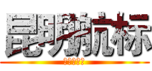 昆明航标 (管家婆软件)