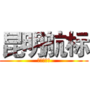 昆明航标 (管家婆软件)
