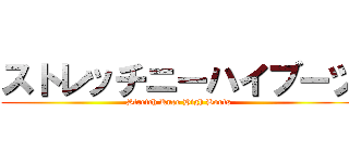 ストレッチニーハイブーツ (Stretch Knee High Boots)