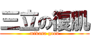 三立の復肌 (mikasa good)