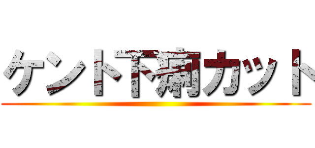 ケント下痢カット ()