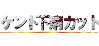 ケント下痢カット ()