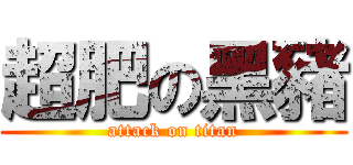 超肥の黑豬 (attack on titan)