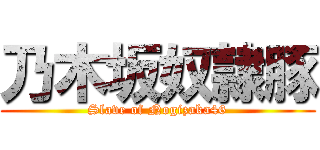 乃木坂奴隷豚 (Slave of Nogizaka46)