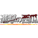 進撃の西瓜 (attack on waltermelon)