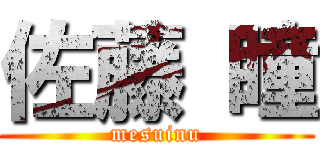 佐藤 瞳 (mesuinu)