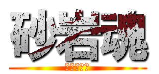 砂岩魂 (サガン鳥栖)