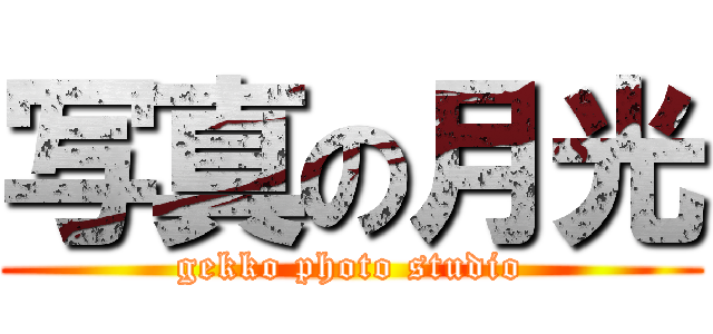 写真の月光 (gekko photo studio)