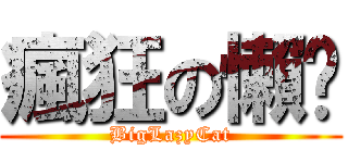 瘋狂の懶貓 (BigLazyCat)