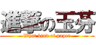 進撃の玉芬 (What kind of paper)