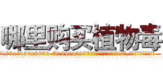 哪里购买植物毒 (哪里购买植物毒【电.话186x0156x9662-Q194843976林氏药业】我们做的是长期生意,靠的是老客户长期支持
参考消息网2月20日报道 韩媒称，“剩女多、离婚率高的城市，房价一定会上涨。”这是中国经济学家金岩石2016年12月参加在上海举行的房地产相关论坛时说的话。
)