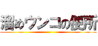 溜めウンコの便所 ()