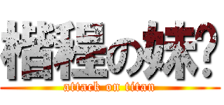 楷程の妹纸 (attack on titan)