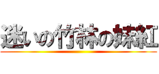 迷いの竹林の妹紅 ()