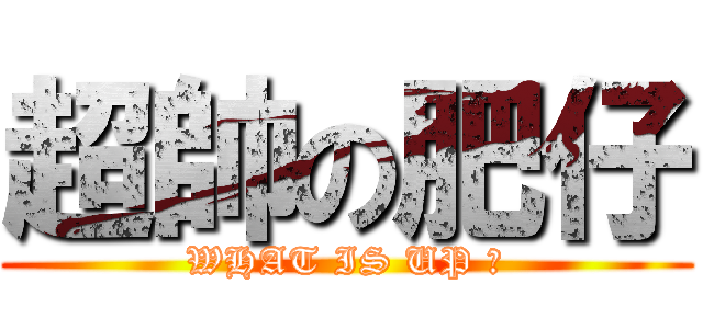 超帥の肥仔 (WHAT IS UP ?)