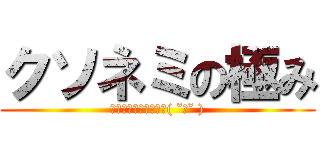 クソネミの極み (ｽﾔｧクソネミ爆睡丸( ˘ω˘ ))