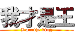 我才是王 (I am the king)