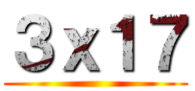 ３ｘ１７ ()
