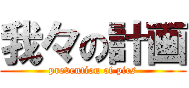 我々の計画 (prevention of pics)