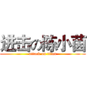 进击の陈小茵 (attack on titan)