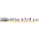 進擊のＷｈｏ ｂｉｒｄ ｙｏｕ (attack on titan)