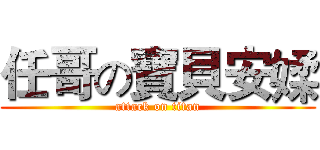 任哥の寶貝安媃 (attack on titan)