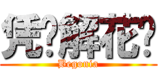 凭谁解花语 (Begonia)