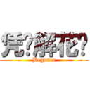 凭谁解花语 (Begonia)