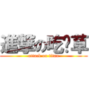 進撃の吃麵草 (attack on titan)