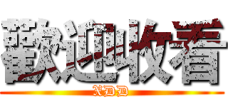 歡迎收看 (XDD)