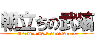 朝立ちの武塙 (Morning wood on takehana)