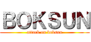 ＢＯＫＳＵＮ (attack on boksun)