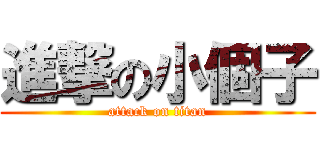 進撃の小個子 (attack on titan)