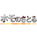 ホモのさとる (attack on titan)