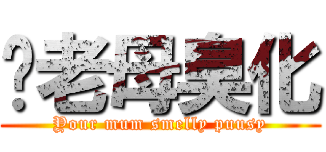 你老母臭化 (Your mum smelly puusy)