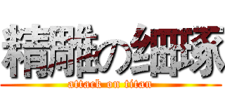 精雕の细琢 (attack on titan)