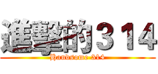 進擊的３１４ (Handsome 314)