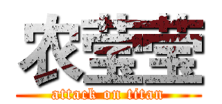 农莹莹 (attack on titan)