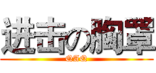 进击の胸罩 (QAQ)