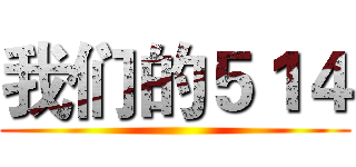 我们的５１４ ()