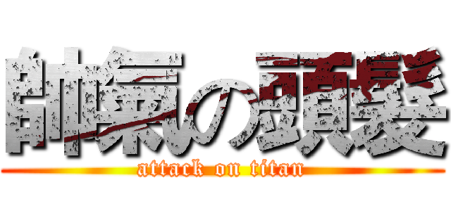 帥氣の頭髮 (attack on titan)