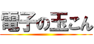 電子の玉こん ()