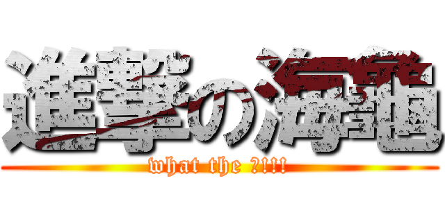 進撃の海龜 (what the ?!!!)